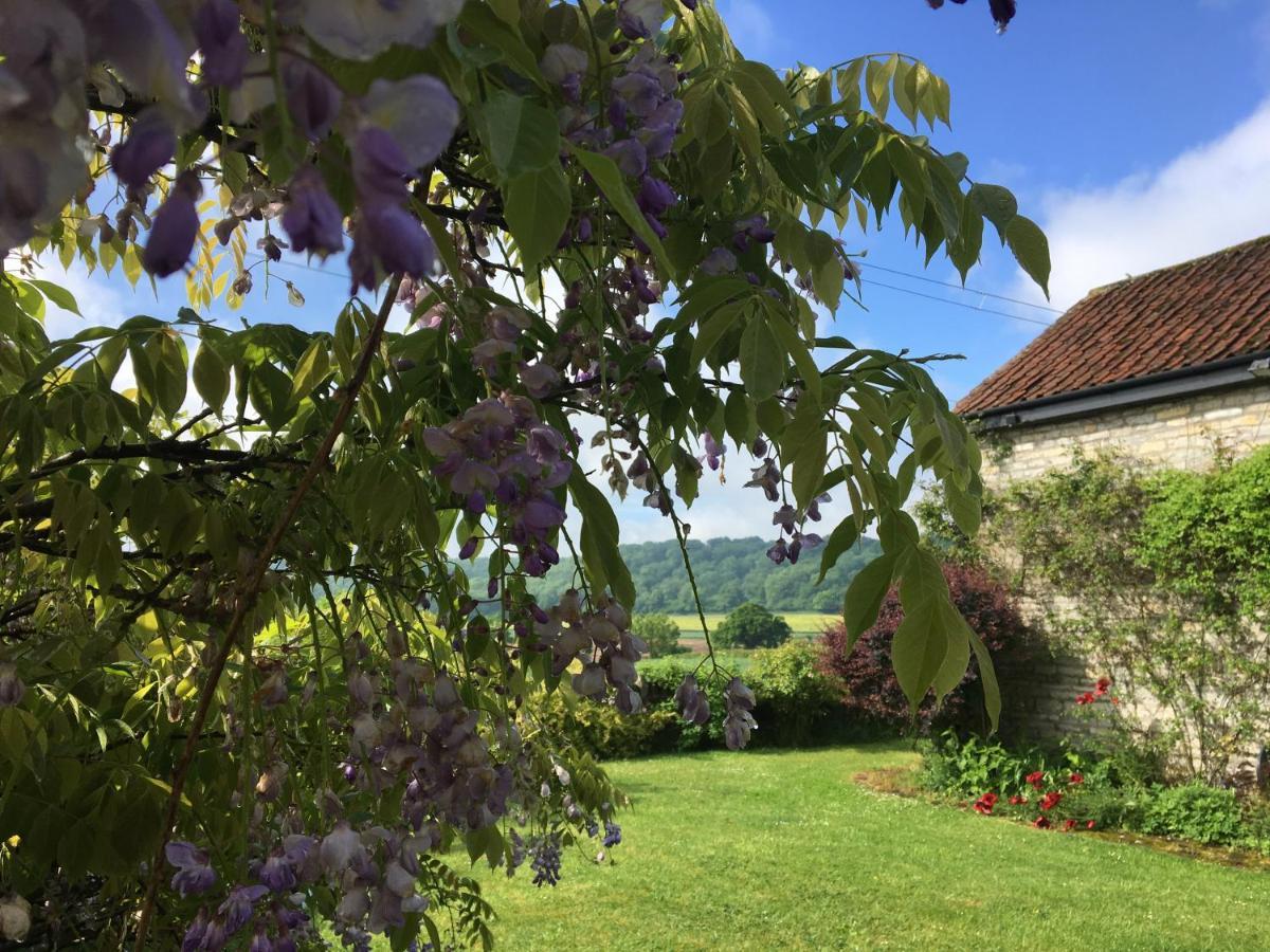 Peaceful Stone Barn Conversion In Somerset Villa Hurcot Buitenkant foto
